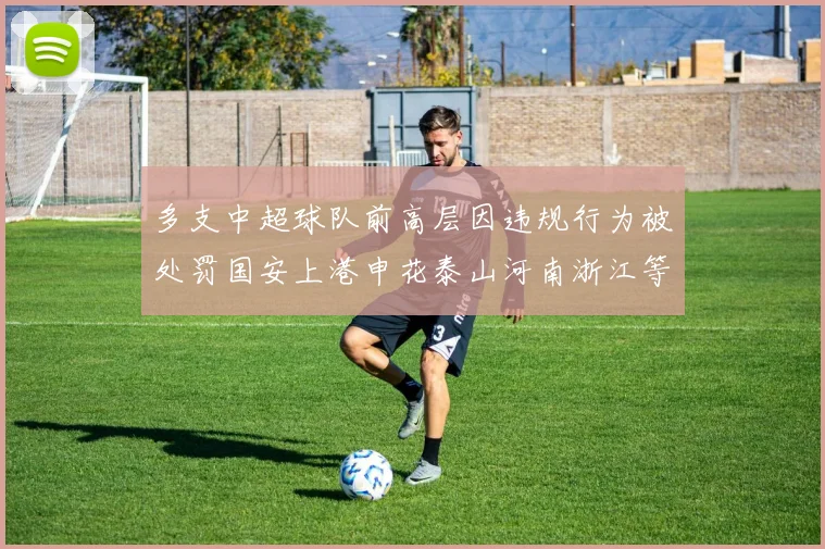 多支中超球队前高层因违规行为被处罚国安上港申花泰山河南浙江等队受影响